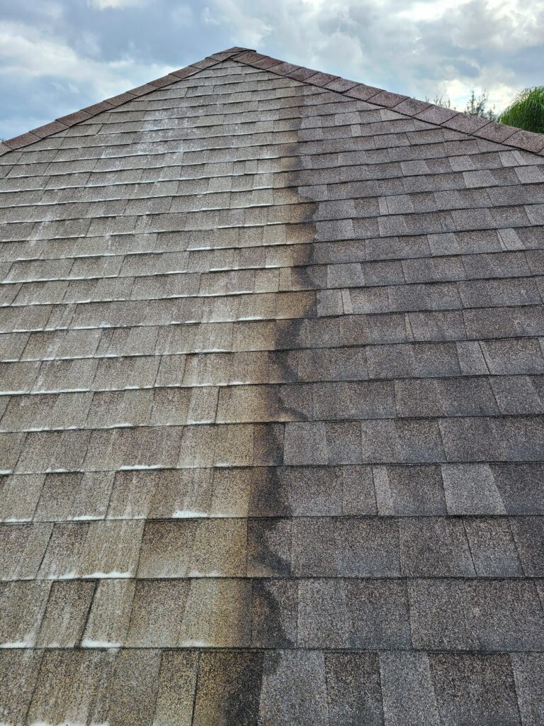 Roof Washing example 1